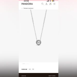 Pandora Radiant Silver Necklace